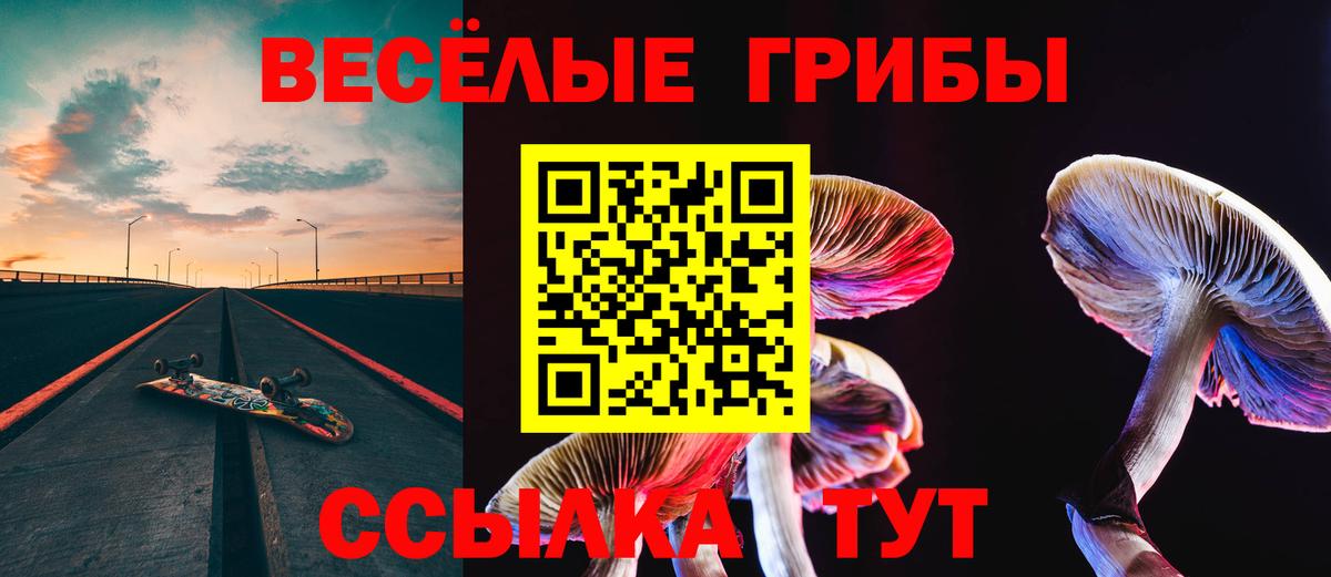 Псилоцибиновые грибы Psilocybine cubensis  Вход с VPN  Псилоцибиновые грибы мухоморы  Менделеевск 